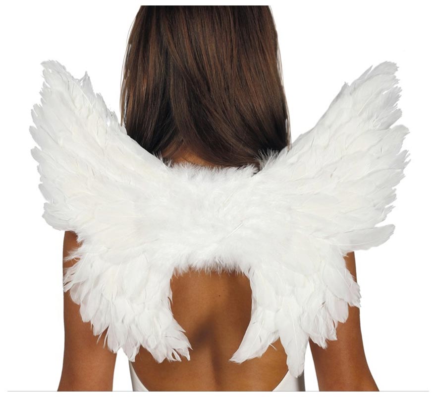 Wings with White Feathers 50 X 45 cm