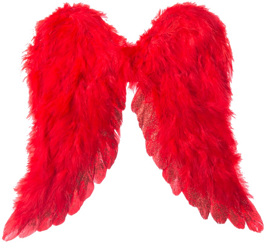 Red Archangel Wings 45x39 cm
