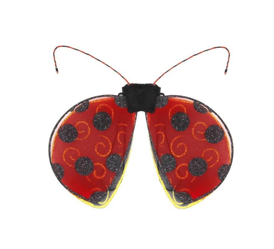 Red and black ladybug wings Red and black ladybug wings