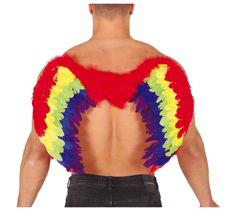 Asas de penas multicoloridas 80 x 50 cm Asas de penas multicoloridas 80 x 50 cm