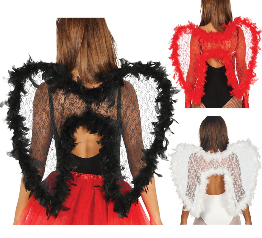 Wings in various colors 55 X 70 cm