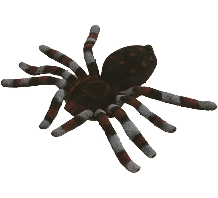 Giant brown and gray spider 15 cm Giant brown and gray spider 15 cm