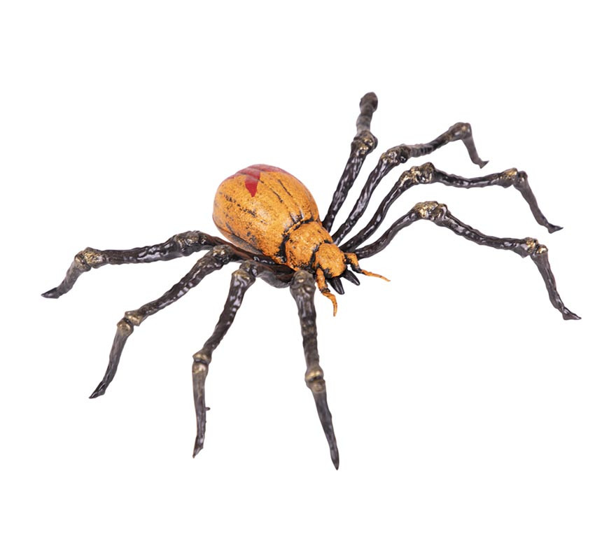 21x14x4 cm brown spider