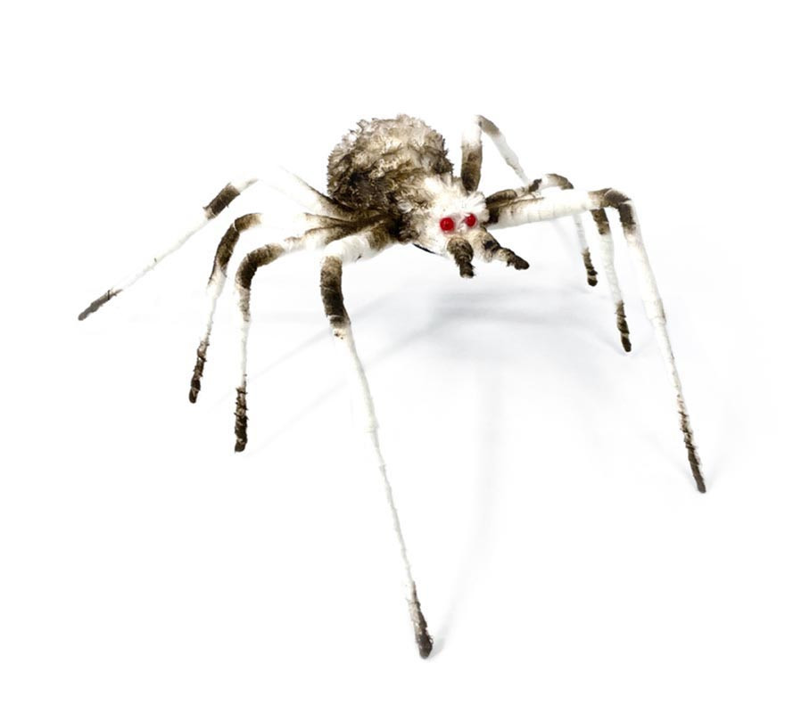 Long-legged spider 6X58X17 cm