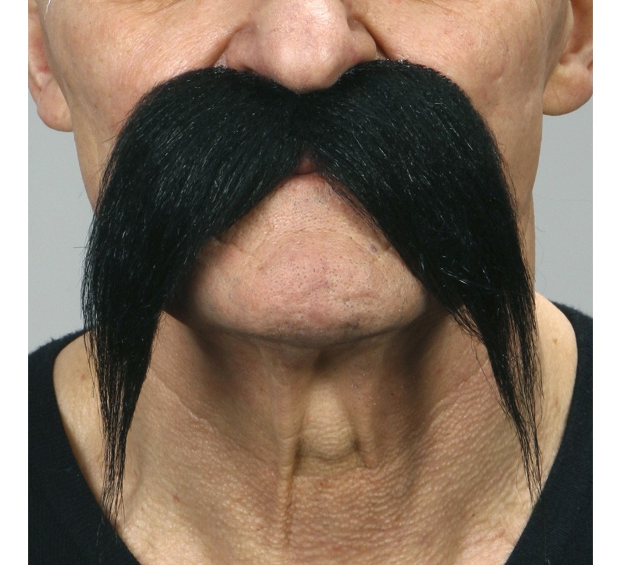 Black Chinese mustache