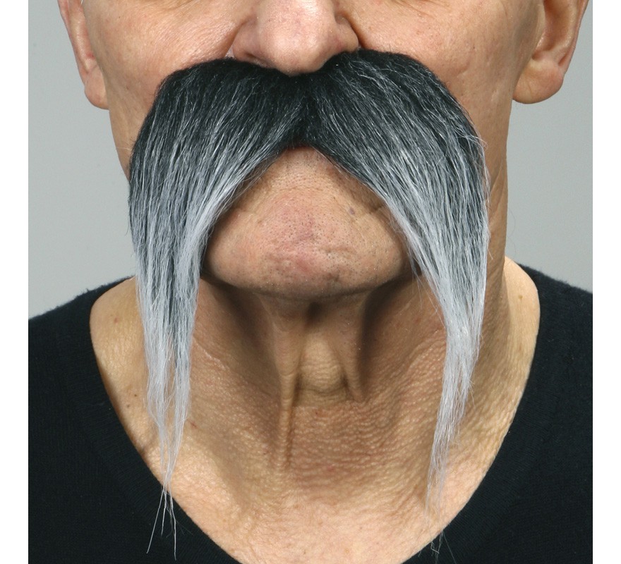 Gray black Chinese mustache