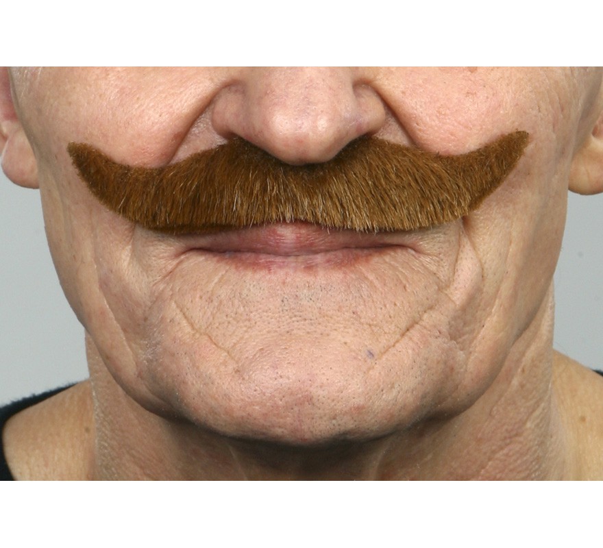 Bigode inglês castanho Bigode inglês castanho