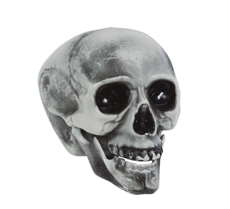 Crânio de PVC 20 cms Crânio de PVC 20 cms