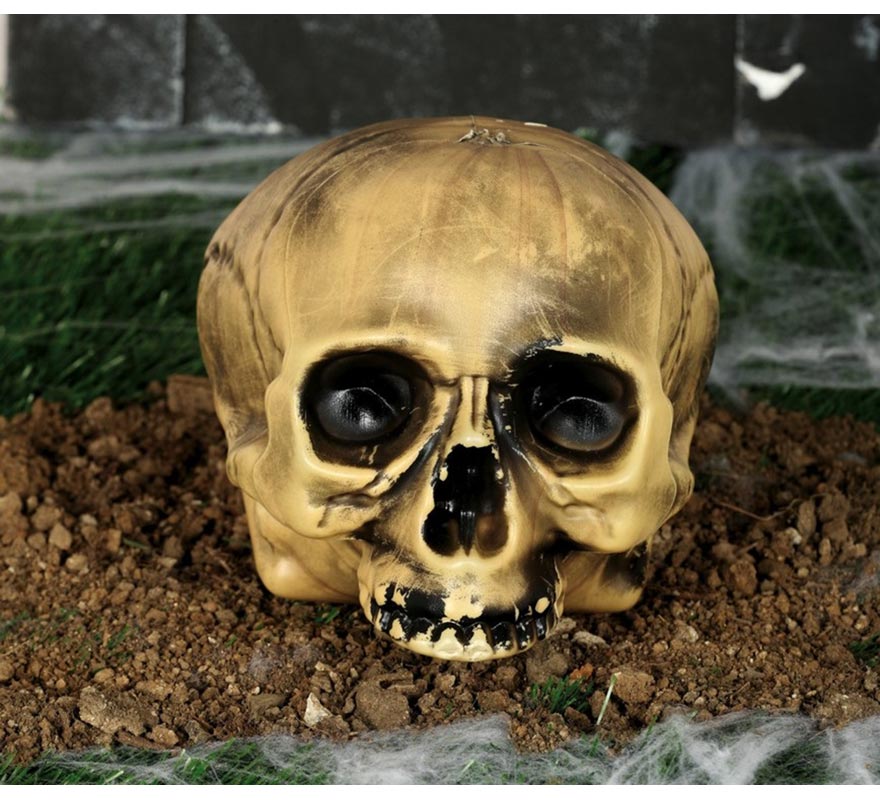 Skull without Chin 20 cm