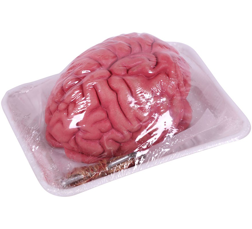 Brain on a 16x20 cm tray