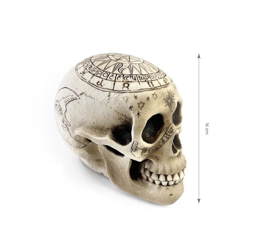 Skull Adorned with symbols 20x14 cm