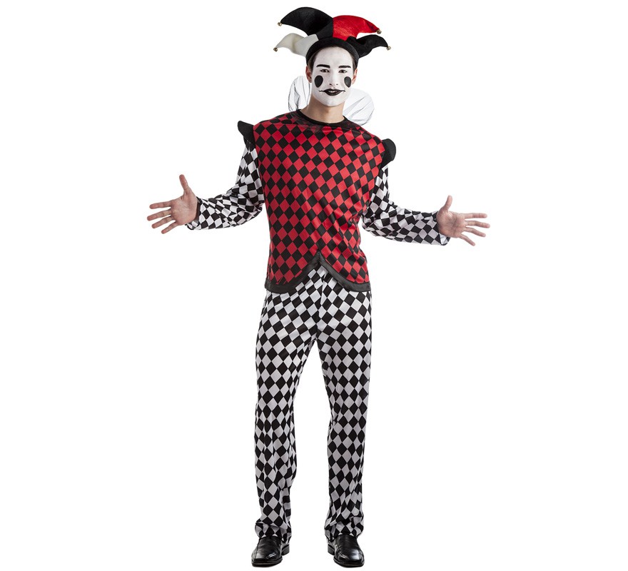 Harlequin costume for men