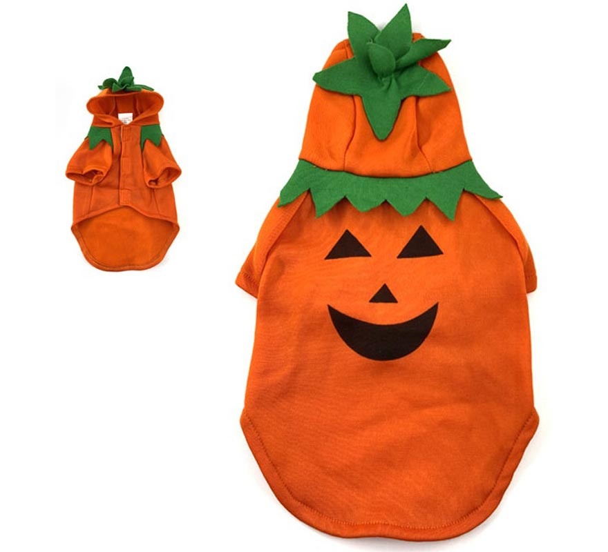 Fato de abóbora para cachorro