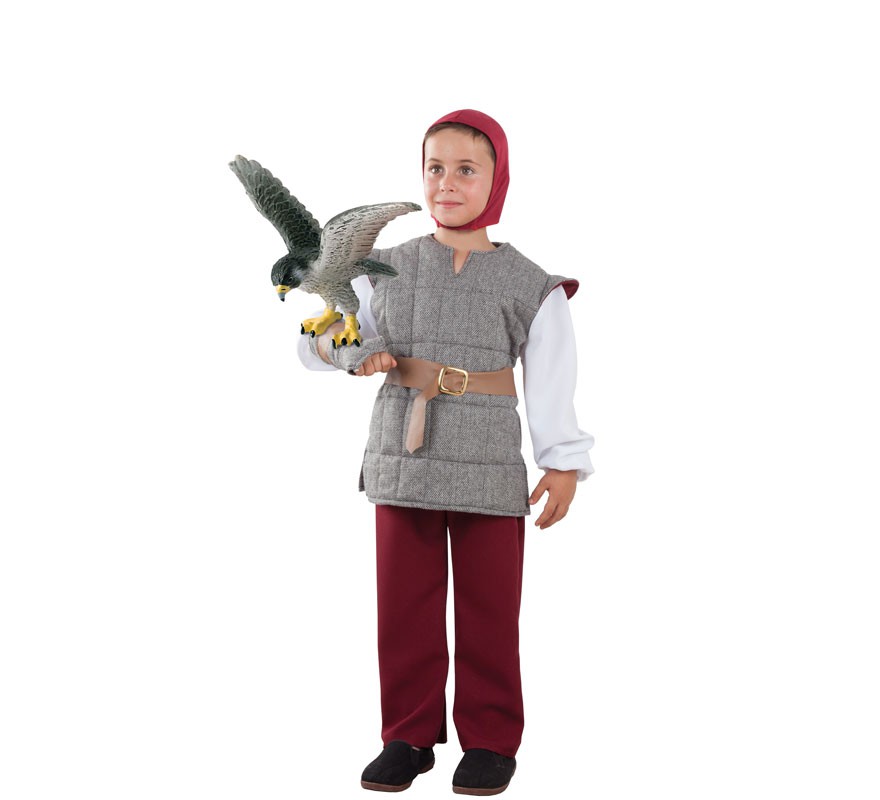 Fato de Falcoeiro cinza para criança