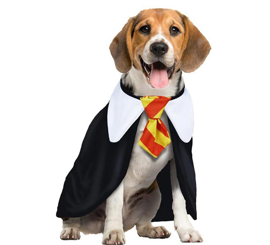 Magic Student Dog Costume