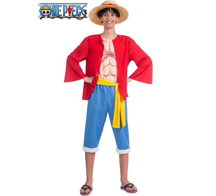 One Piece Luffy costume for men