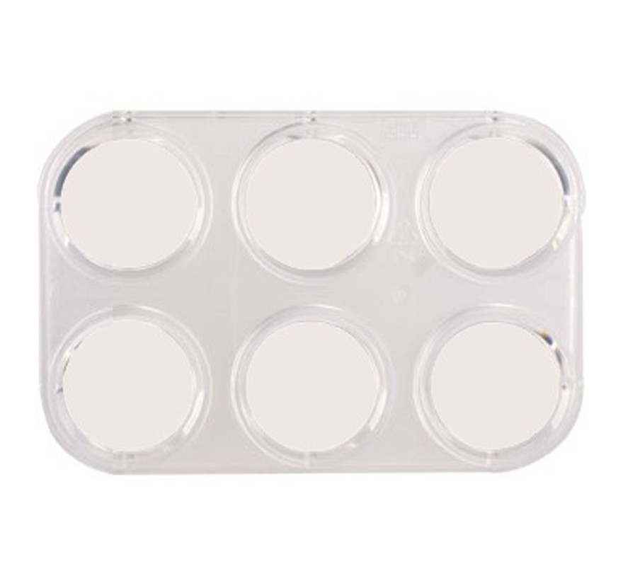 Modular Container or Empty Palette for 6 GRIMAS Makeups