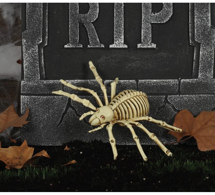Esqueleto de aranha 24 cm