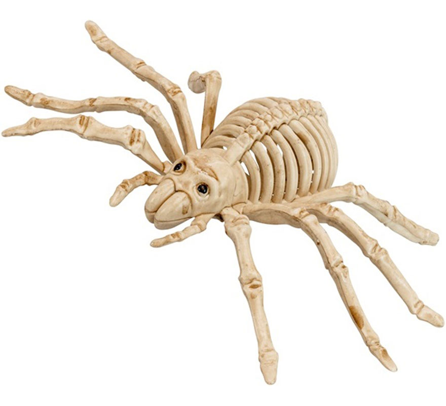 24cm Scary Spider Skeleton