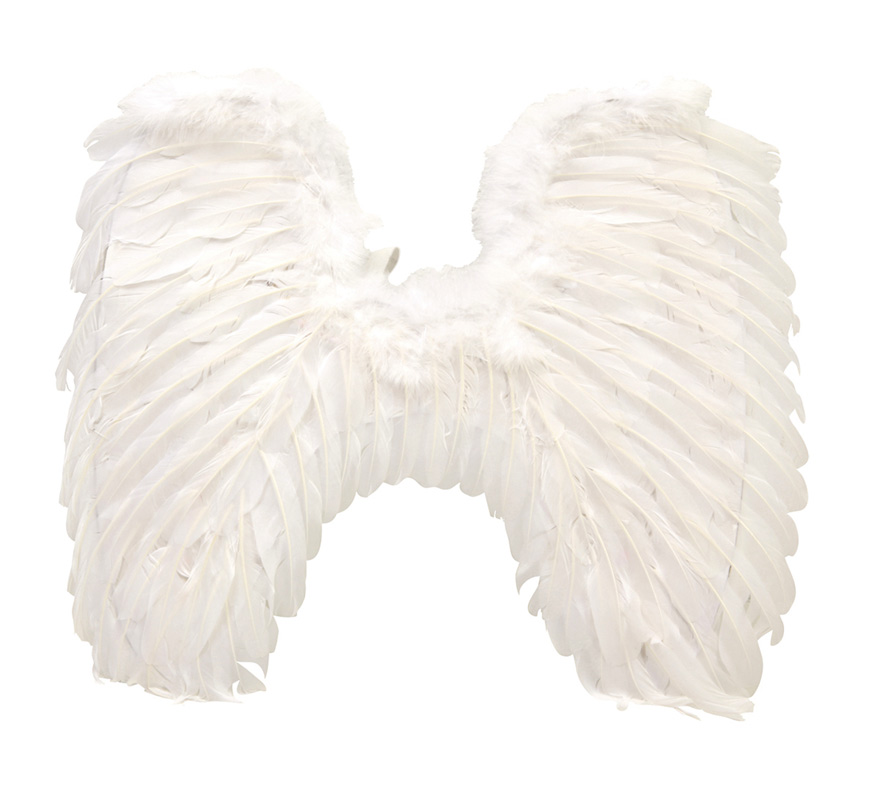 White Angel Wings 47 x 56 cm