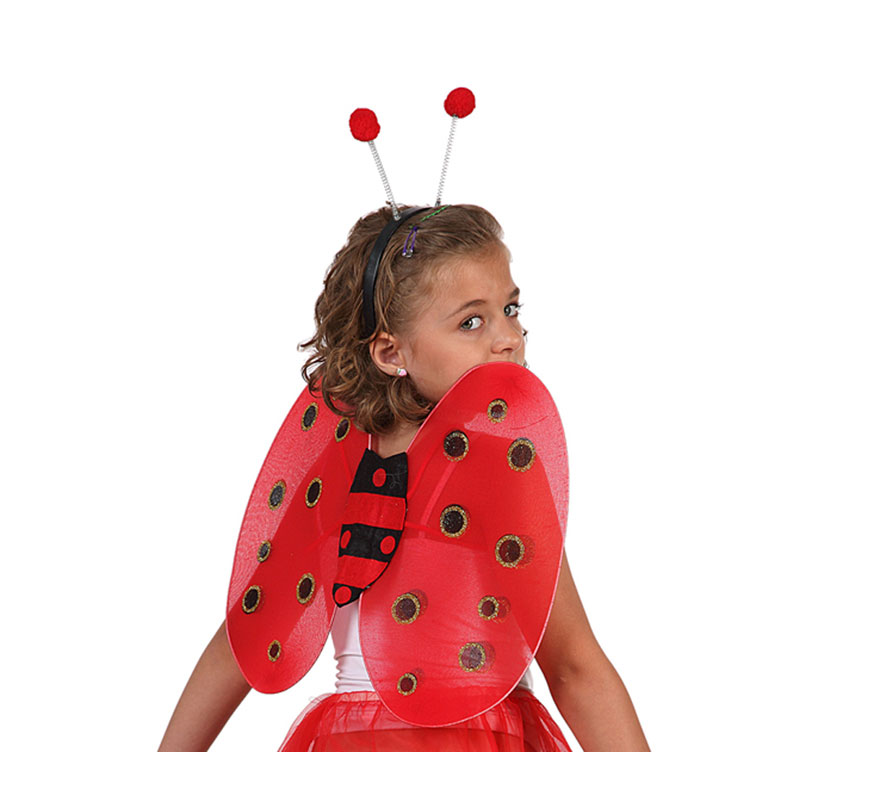 Ladybug wings and headband