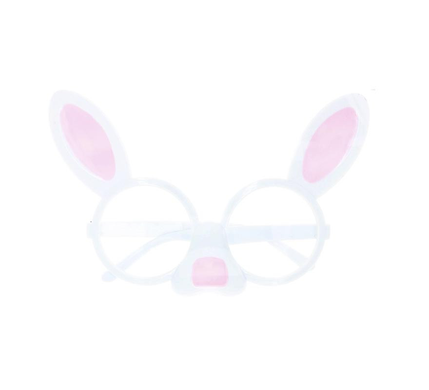 Rabbit glasses with nose Rabbit glasses with nose