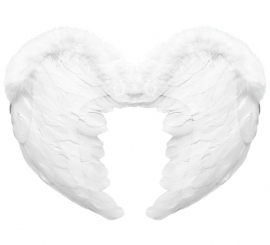 Asas de anjo de penas brancas 37X50cm