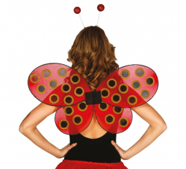 Ladybug Wings 63 x 41 cm