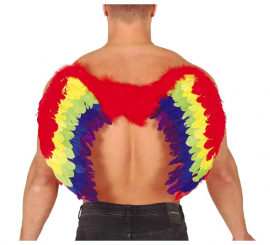 Multicolor Feather Wings 80 X 50 cm