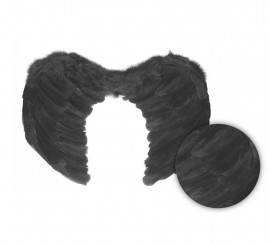 Asas médias de penas pretas 60X45 cm