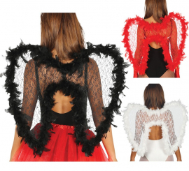 Wings in various colors 55 X 70 cm