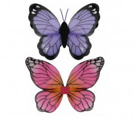 Asas de Borboleta Real em diversos modelos