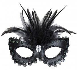 Elegant black mask with feathers