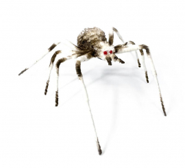 Long-legged spider 6X58X17 cm