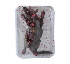 Rat Tray 19X12 cms