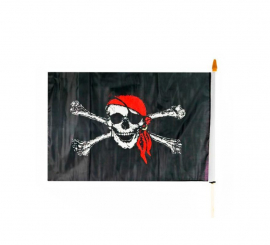 Black pirate flag with skull