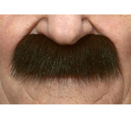 Military Sergeant's blunt brown mustache