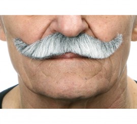 Gray English Mustache