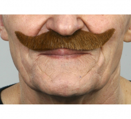 Brown English mustache