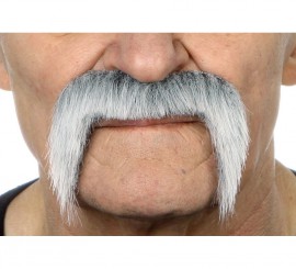 Gray Mexican Mustache