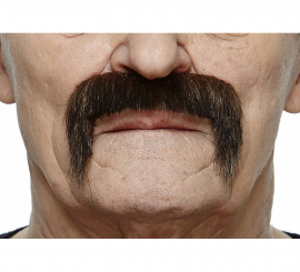 Gray black Mexican mustache
