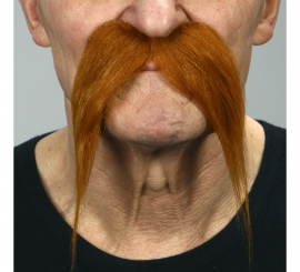 Brown Viking mustache