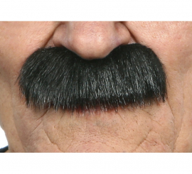 Military Sergeant's blunt black mustache