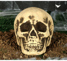 17 cm Crânio Amarelo