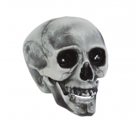 Crânio de PVC 20 cms