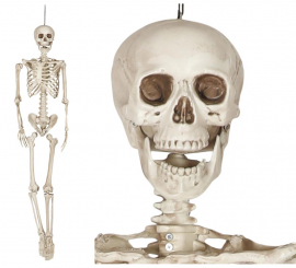 Skeleton Pendant 160 Cm