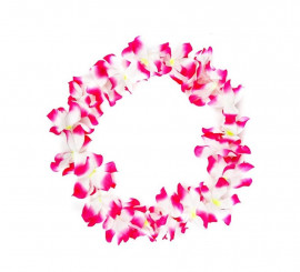 Colar Hawaii médio fúcsia e branco de 46 cm