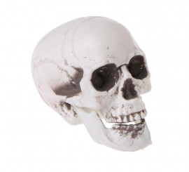 Worn white skull 16x13 cm