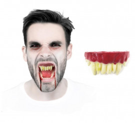 White Fx Resin Vampire Denture