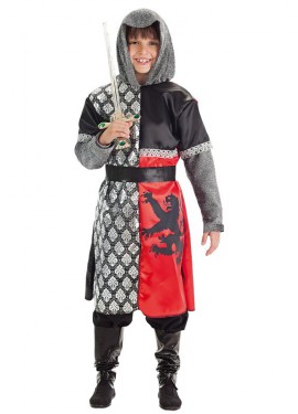 Lion Knight Costume for Boys
